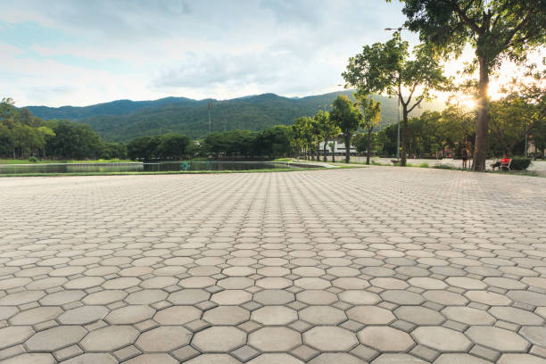 Best Best Driveway Pavers  in Sharon, WI